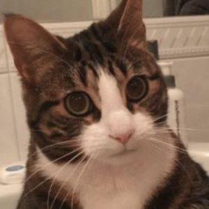 Meet your Posher, Annicka