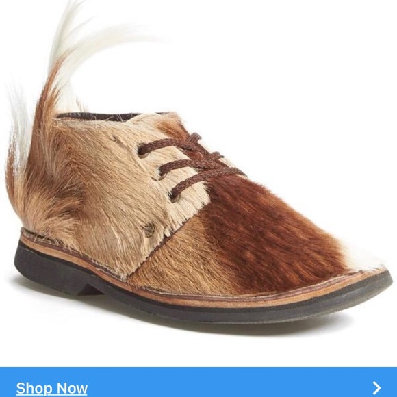 Meet your Posher, Isabella - Picture 1 of 1