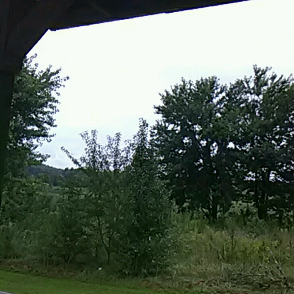 Meet your Posher, Valerie