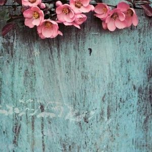 Meet your Posher, Hope