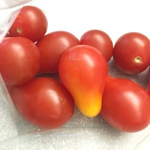 Meet your Posher, Al