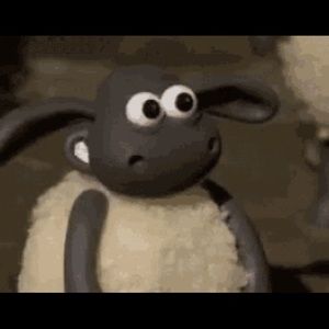 Meet your Posher, Shopper