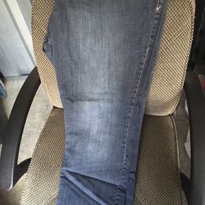 Venezia Lane Bryant jeans Size 24 medium wash