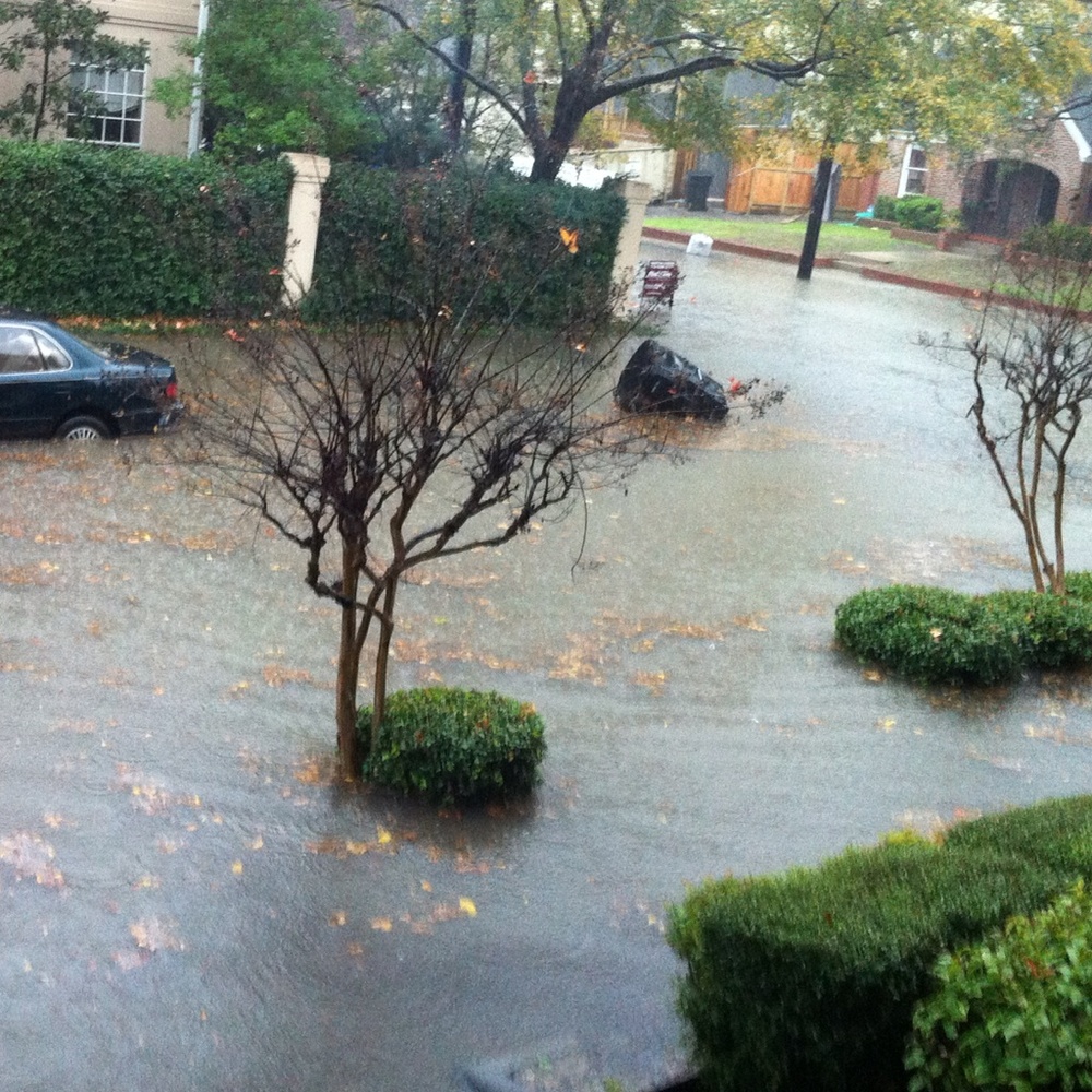 Hurricane Harvey - Back in Business Y'all!