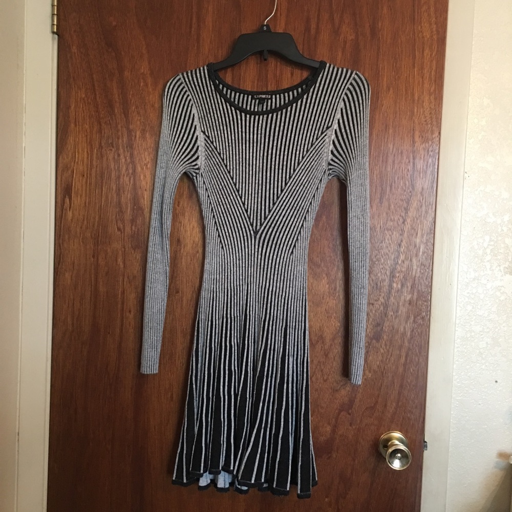 Express Knit Dress