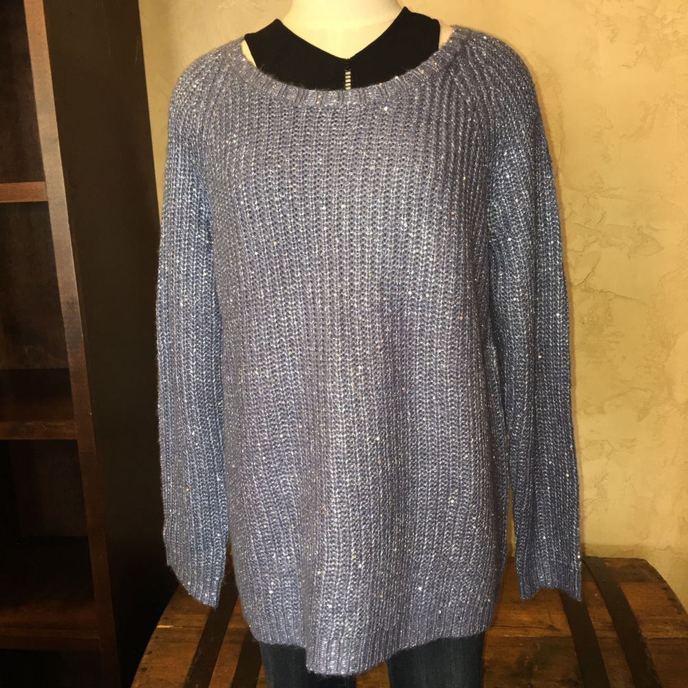 Sparkly sweater. Color is Dusty sky blue.