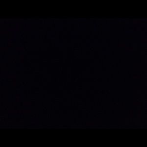 Meet your Posher, Behnaz