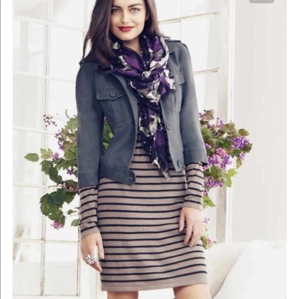 Ann Taylor LOFT winter dress