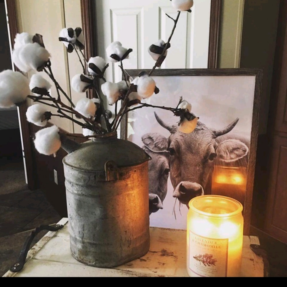 Meet your Posher, Meagen