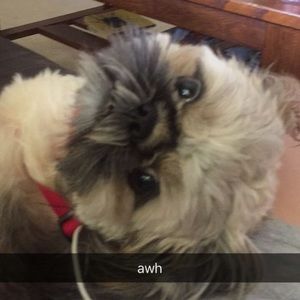 Meet your Posher, Danielle