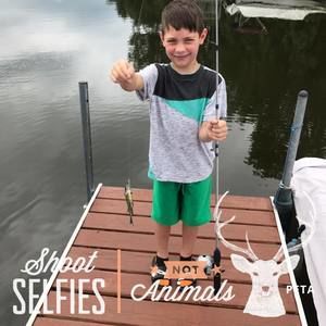 Meet your Posher, Jeremy