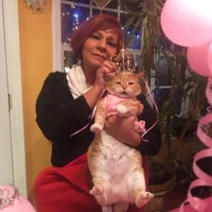 Meet your Posher, Karis