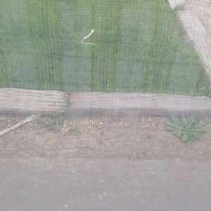 Meet your Posher, Merissa