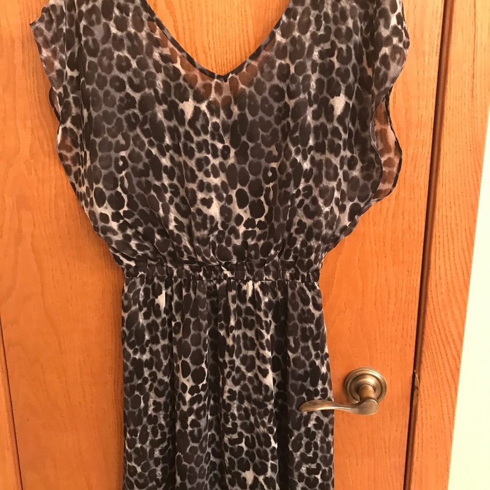 Express Dress - Picture 3 of 3