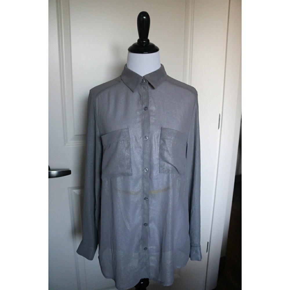 Silver Sheer Button Down Blouse