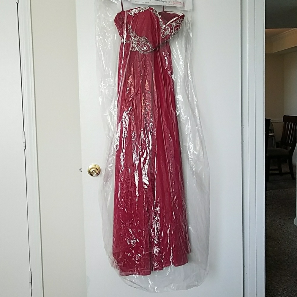 Homecoming/Prom dress