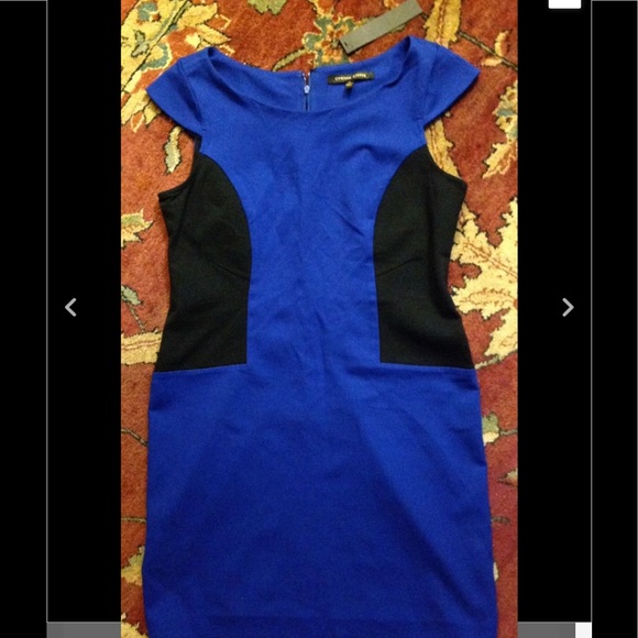 CYNTHIA STEFFE Womens Size 10 ROYAL BLUE AND BLACK - Picture 1 of 4