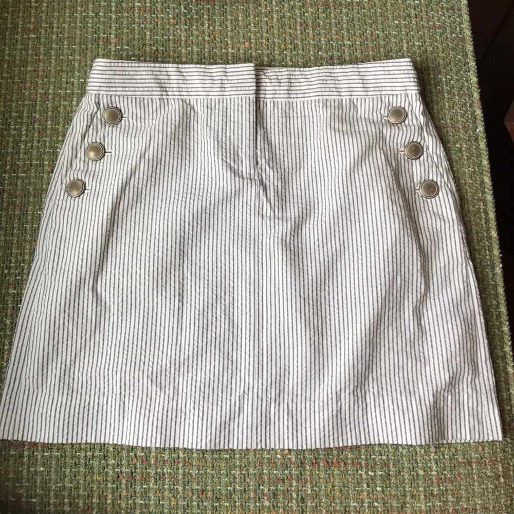 Jcrew dear sucker skirt size 2