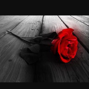 Meet your Posher, Matty