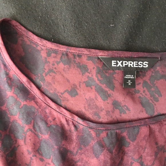 Express Dress - Picture 3 of 5