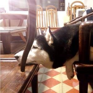 Meet your Posher, Meiwei