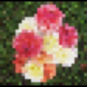 Meet your Posher, Kendall