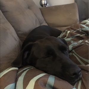 Meet your Posher, Kristy