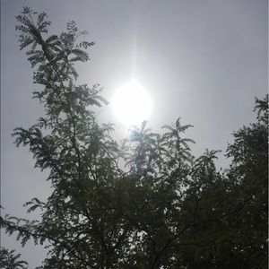 Meet your Posher, Colleen