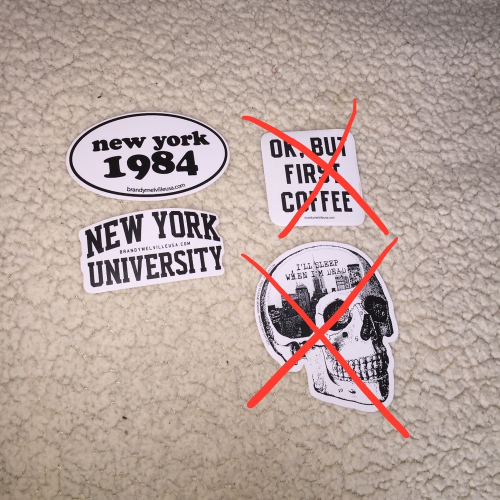 ✨BUNDLE✨ Set of two Brandy Melville Stickers