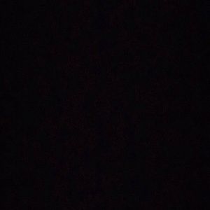 Meet your Posher, Dalton