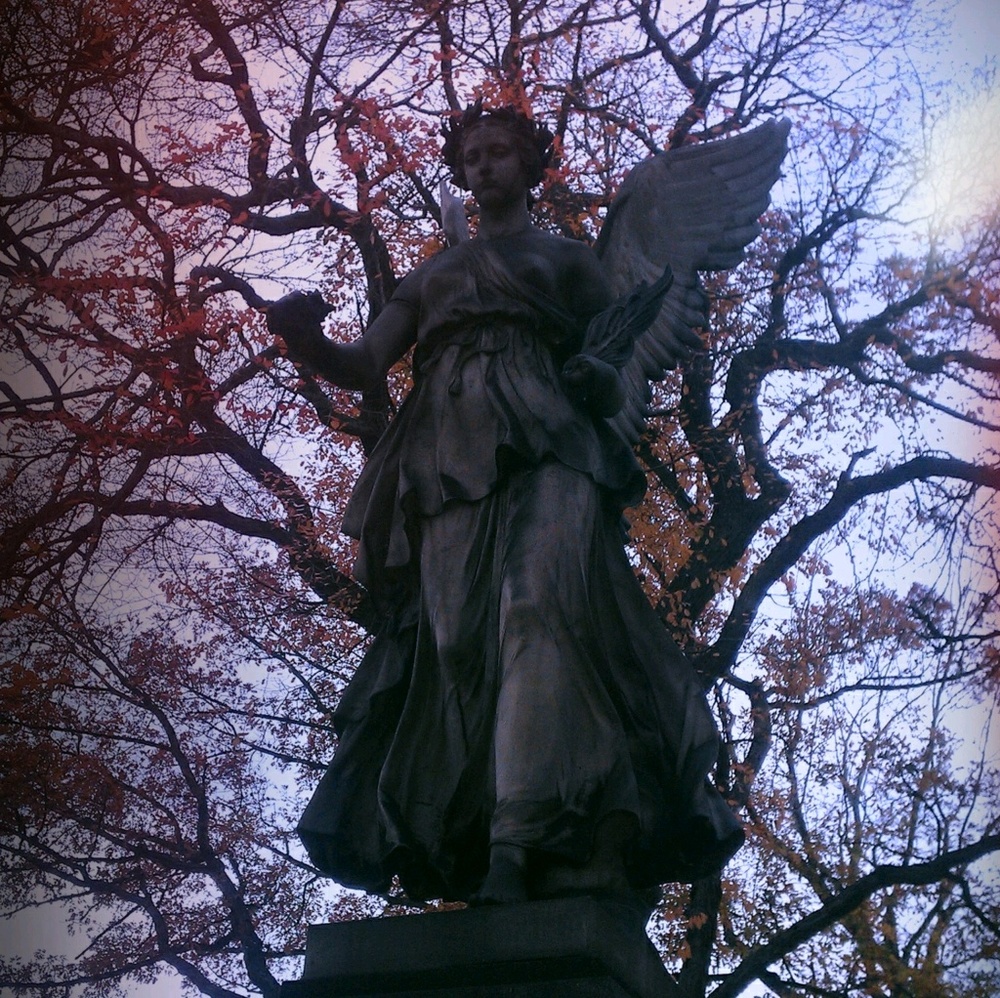 Meet your Posher, Patricia