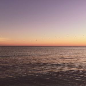 Meet your Posher, Ellie