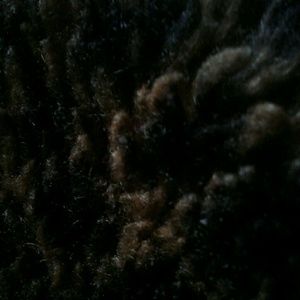 Meet your Posher, Noah