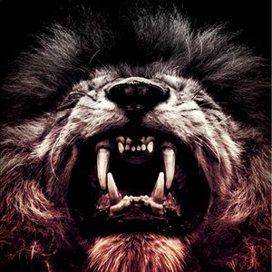 Meet your Posher, Terry