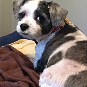 Meet your Posher, Rebecca