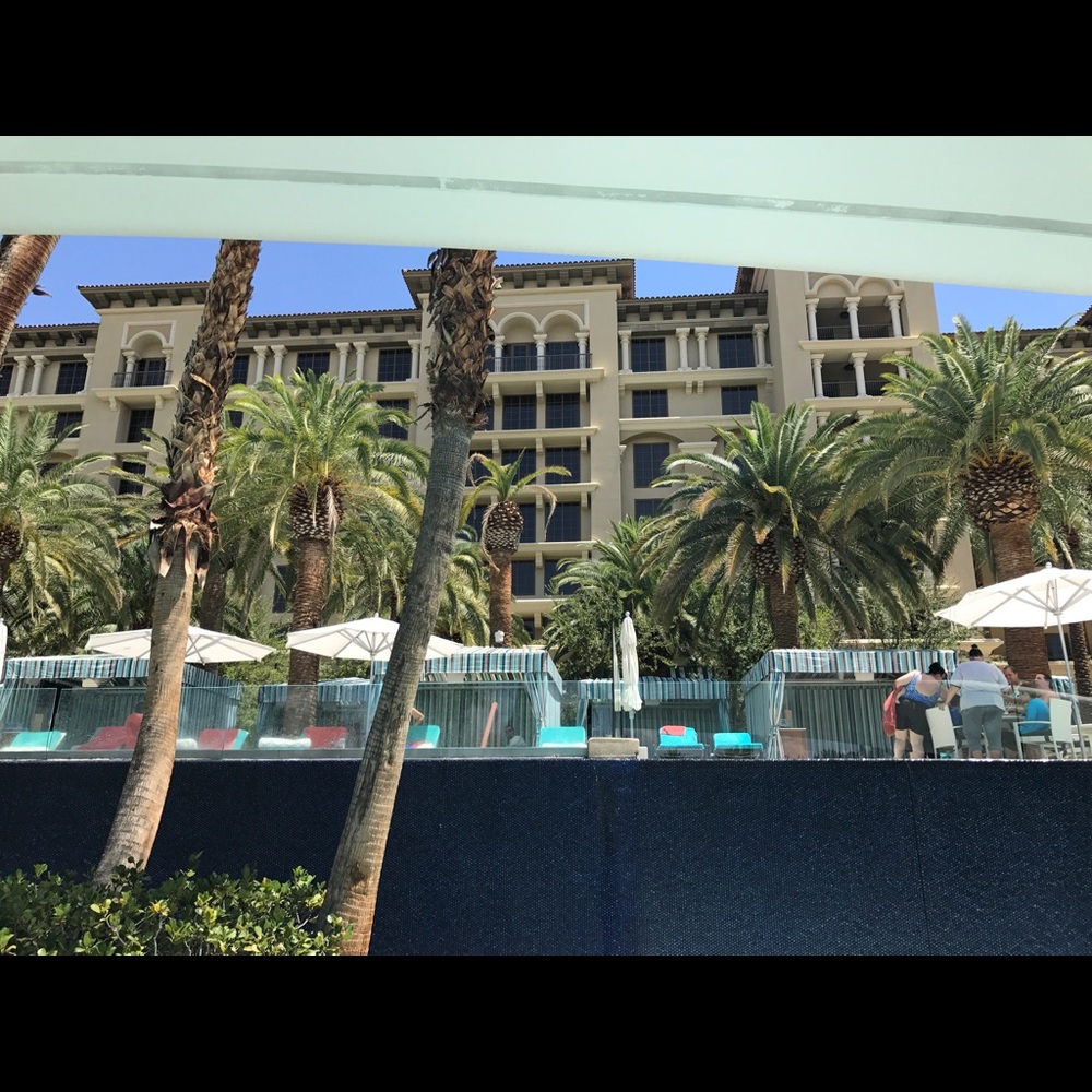 Meet your Posher, Ray