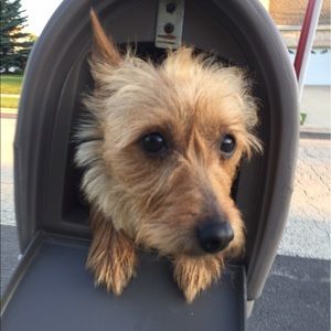 Meet your Posher, Markus