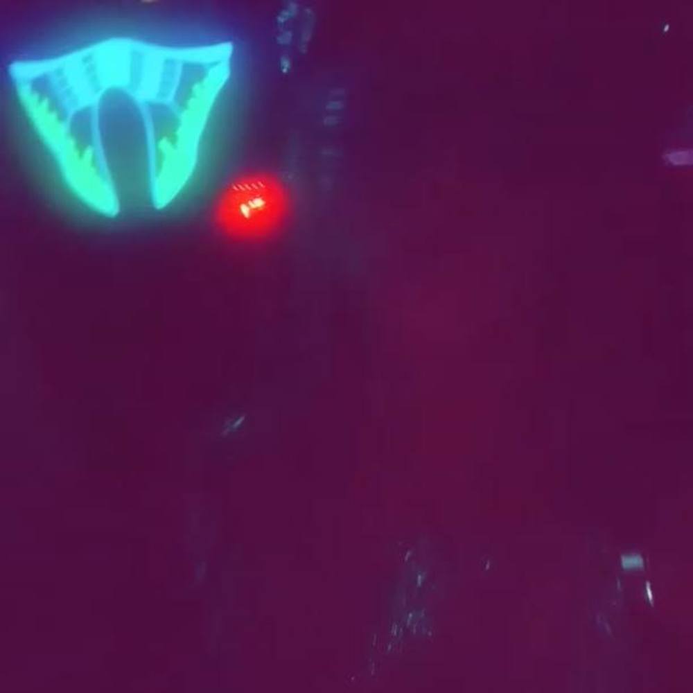 Meet your Posher, Leslee