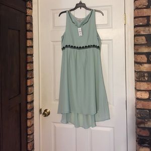 Ann Taylor Loft 👗 Dress