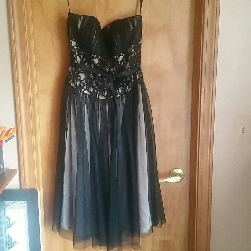 Lace and Mesh Special Event  Dress