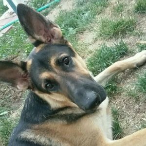 Meet your Posher, Mariah