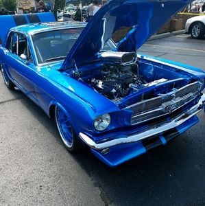 Meet your Posher, Logan