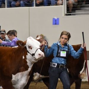 Meet your Posher, Haley