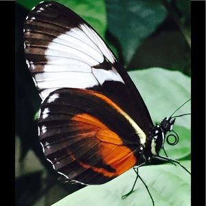 Meet your Posher, Heather