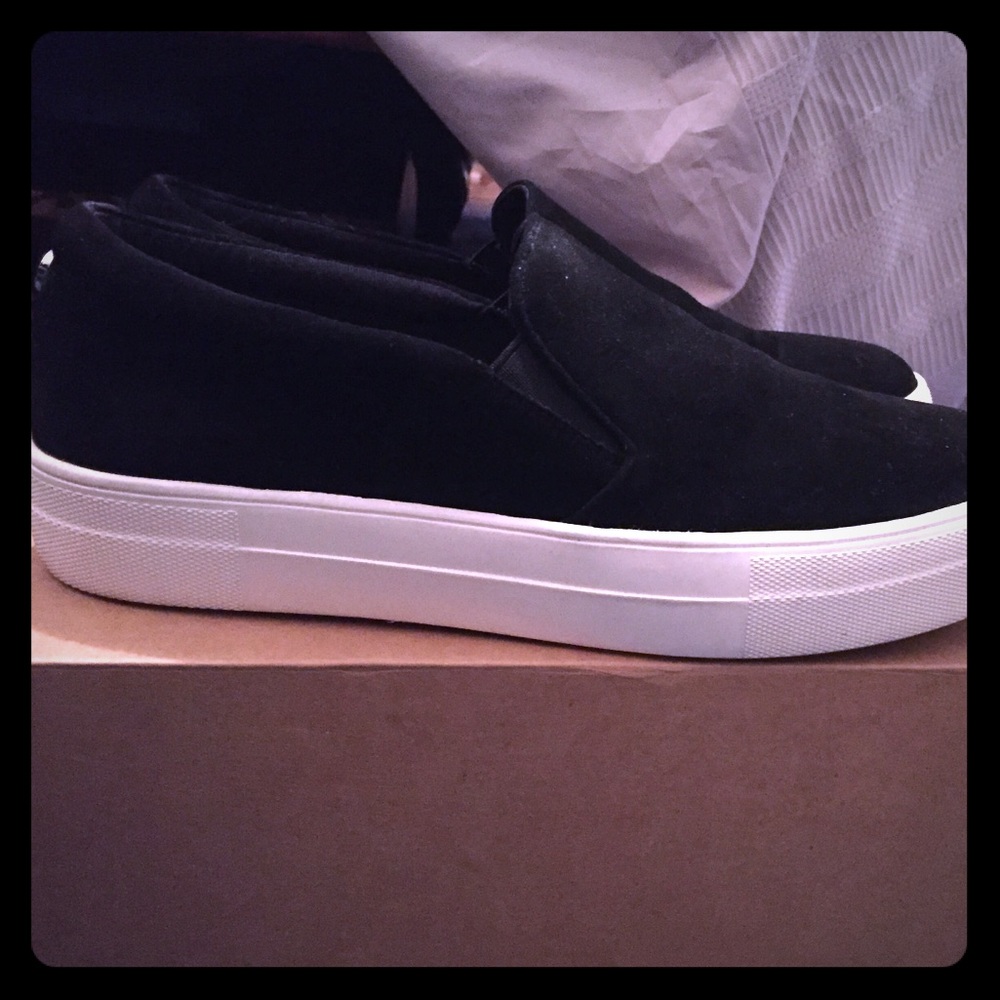 Brand new Steve Madden 'Gills' sneaker