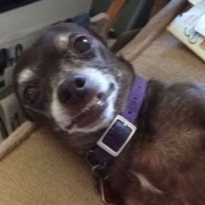 Meet your Posher, Bryce