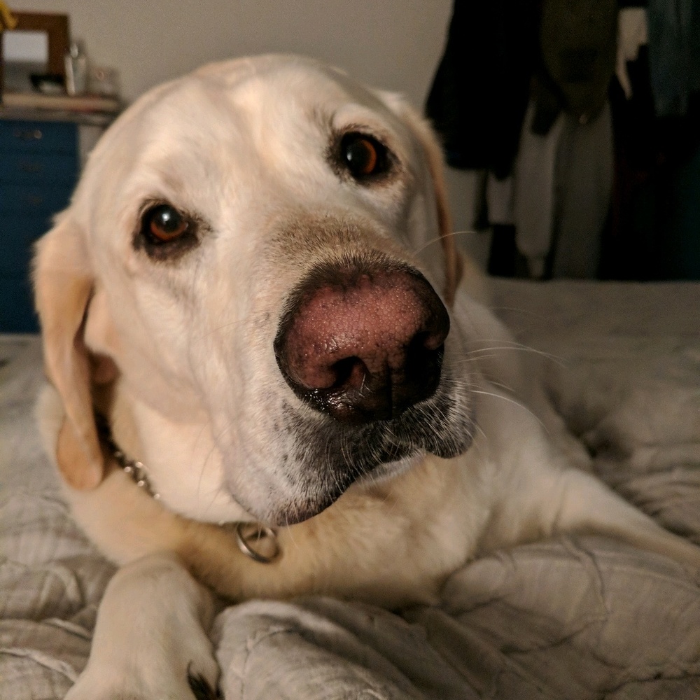 Meet your Posher, Michelle