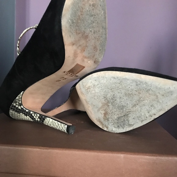 COACH Fulton heel, fall tstrap pumps, snakeskin - Picture 7 of 7
