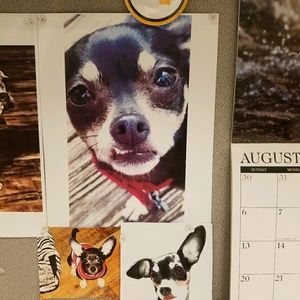 Meet your Posher, Melissa