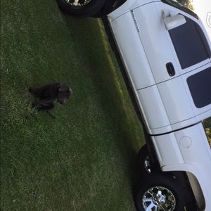 Meet your Posher, Flennoy